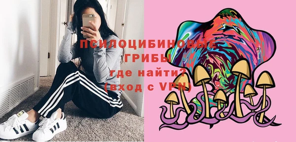 винт Армянск
