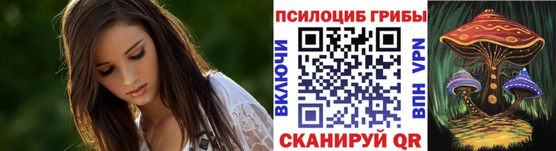 Галлюциногенные грибы ЛСД  Нюрба 